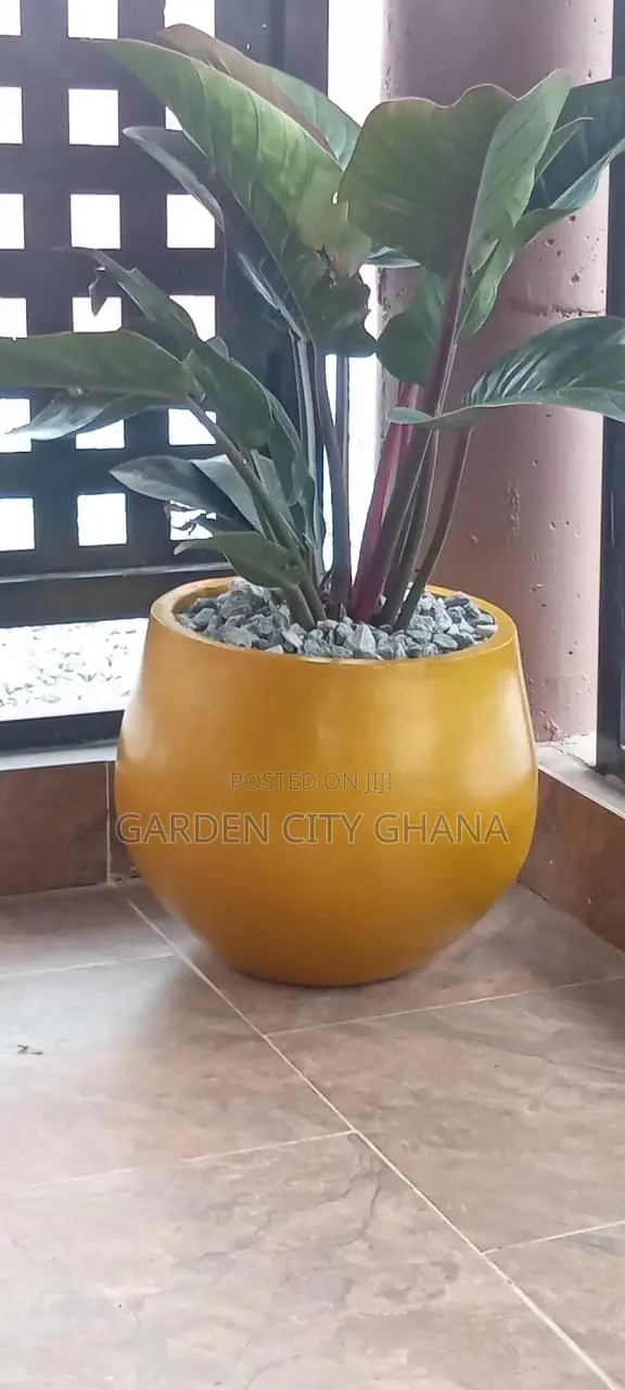 GreenCity Garden Landscaping & Gardening Services - 1