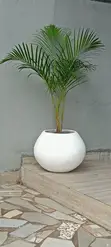 GreenCity Garden Landscaping & Gardening Services - 3