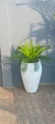 GreenCity Garden Landscaping & Gardening Services - 4
