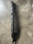 Acura RDX 2020 Bumper Grille / Down Net - 2