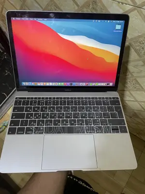 Apple MacBook 2015 12-inch 8GB RAM Intel Core M 500GB SSD