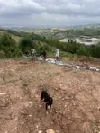 Residential Plot for Sale - Sasaabi - 4
