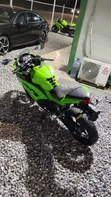 Kawasaki Ninja 300 2018 Green - 1