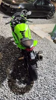 Kawasaki Ninja 300 2018 Green - 5