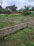 Plot of Land with Footing for Sale in Pokuase - 3