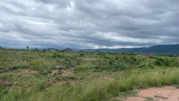 17 Acres Land for Sale - Dodowa Ayikumah - 1