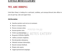 Sales Officer - Little Bites Eatery