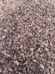 Cocoa Nibs - 1
