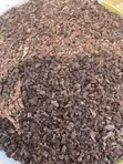 Cocoa Nibs - 2