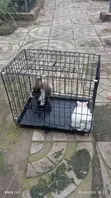 Portable Cages for Rabbits, Grasscutters, Guinea Pigs, Parrots & More - 4