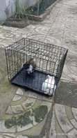 Portable Cages for Rabbits, Grasscutters, Guinea Pigs, Parrots & More - 5