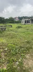 Affordable Bush Weeding Services - East Akim - 3