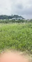 Affordable Bush Weeding Services - East Akim - 4