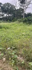 Affordable Bush Weeding Services - East Akim - 5