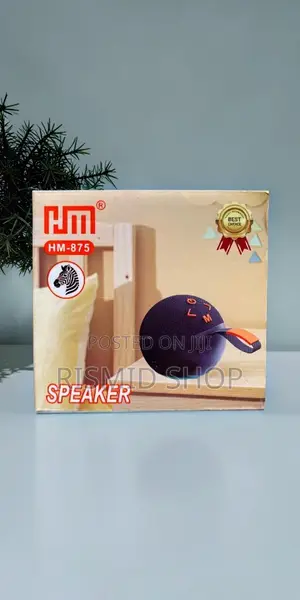 HM-875 Rechargeable Wireless Speaker