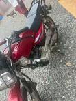 Royal RY150 Motorcycle - 5