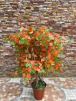 Artificial Flowers - 120cm - 2