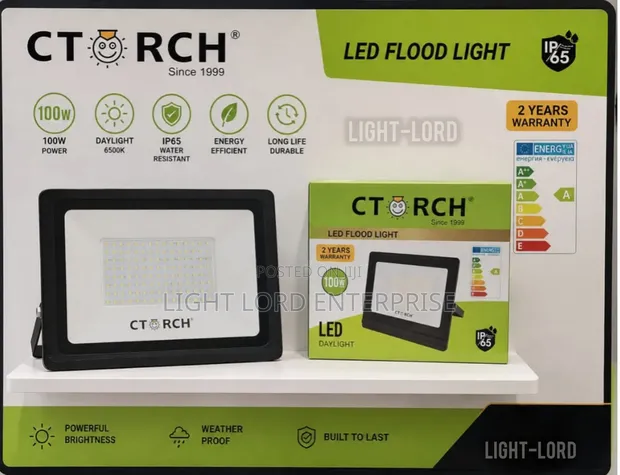Extraordinary Bright 100W Flood Light - 1