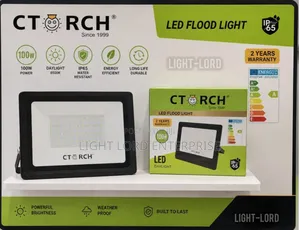 Extraordinary Bright 100W Flood Light