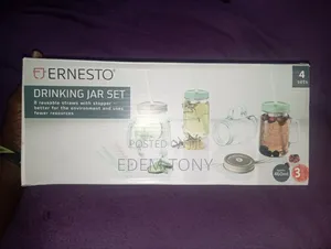 Ernesto 4-Piece Glass Drinking Jar Set with Lids & Straws