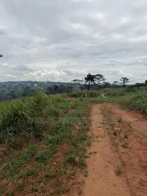 Residential Land for Sale in Akropong