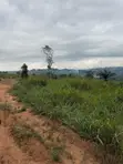 Residential Land for Sale in Akropong - 2