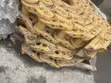 Caterpillar D8N Truck Link - 2014 - 3