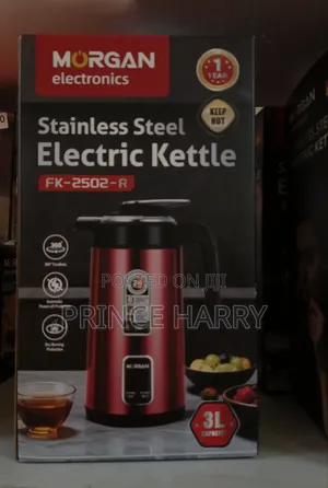 Mr. Steel Stainless Steel Electric Kettle