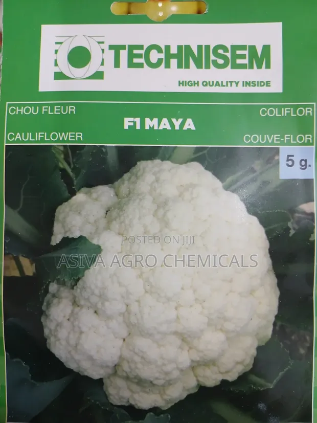 Cauliflower F1 Maya 1gram Seeds - 1