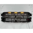 Ford F-150 Raptor Spec Grill - 3
