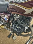 Haojin HJ125-99 2025 Brown - 4