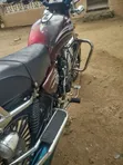 Haojin HJ125-99 2025 Brown - 5