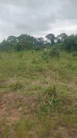 Amasaman Obom Land for Sale - 2