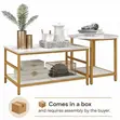 2-Tier Coffee Table Set - White & Gold - 5