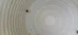 Polytank and Reservoir Washing Service - 5