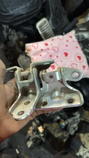 Hyundai Elantra Door Hinges (2012-2021)