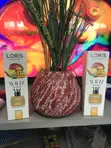 Loris Room Diffuser - Brand New - 2