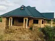 Roof Construction & Carpentry Services - 1