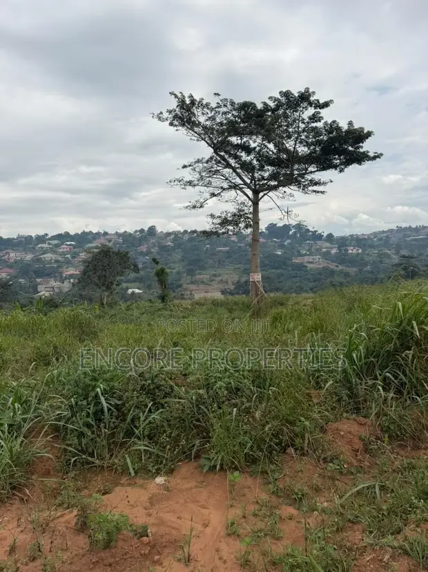 Residential Land for Sale in Akropong - 1