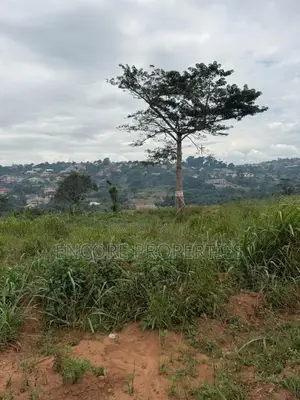 Residential Land for Sale in Akropong