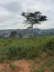 Residential Land for Sale in Akropong - 1