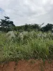 Residential Land for Sale in Akropong - 2