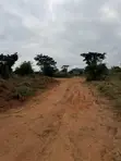 Residential Land for Sale in Akropong - 5