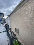 Graffiato Painting Service - 4