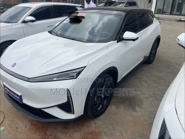 New Dongfeng EV EX1 2025 White - 1