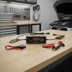 BANSHEE 12V/24V Super Smart Battery Charger Maintainer