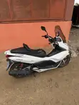 Honda Scooter 2016 White - 3