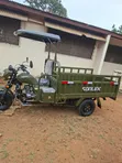 New Sonlink SL200ZH-SC 2026 Green Tricycle - 4