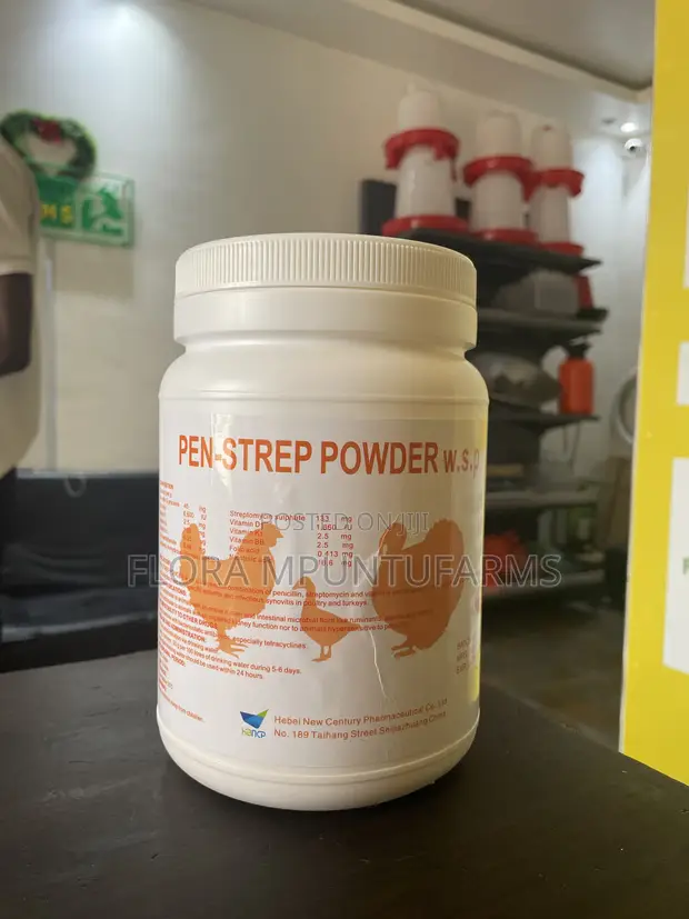 Penstrep Powder - 1