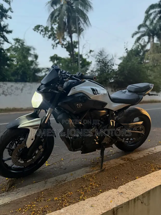 Yamaha MT-07 2017 Gray - 1